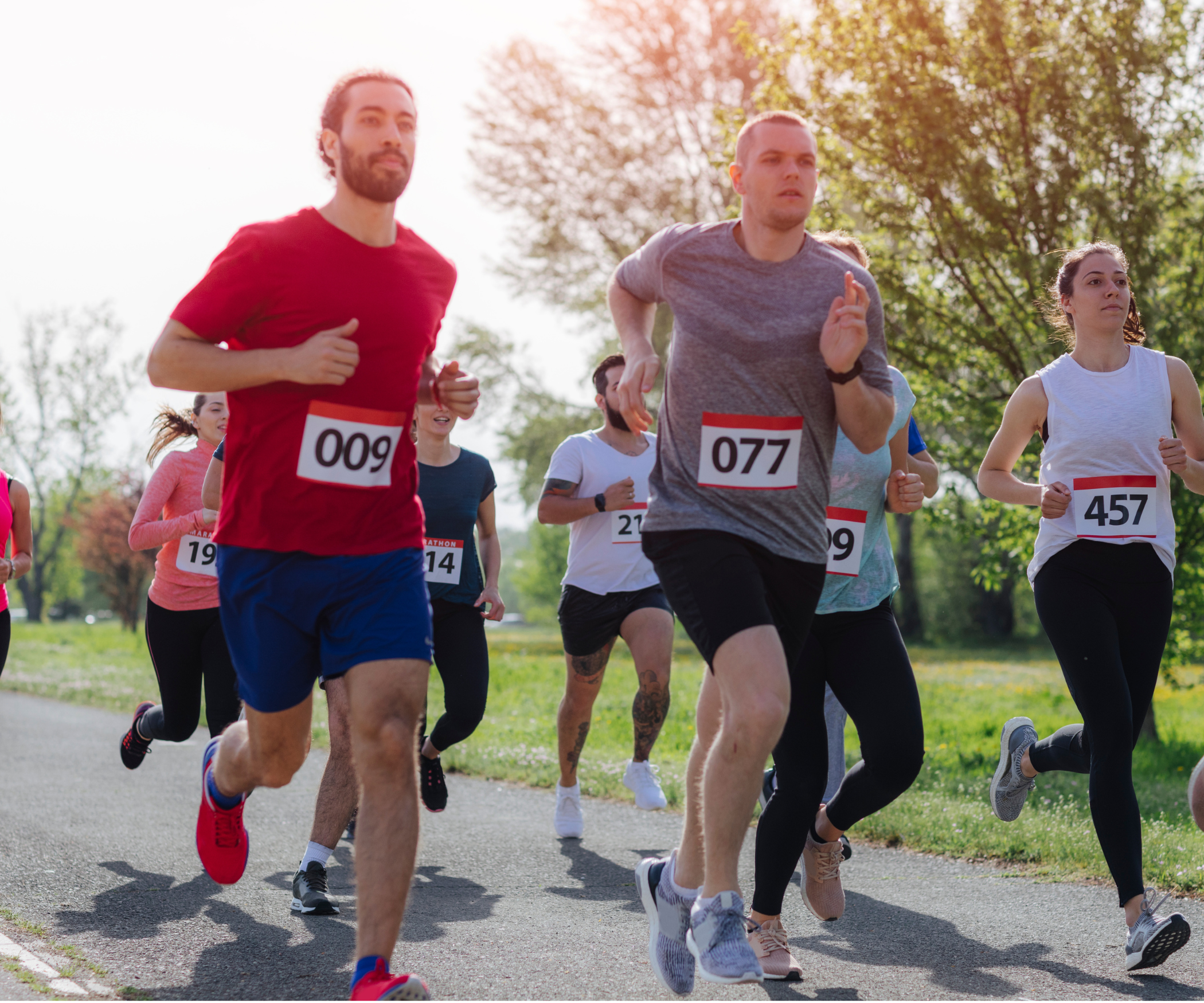 La imagen está relacionada con el foro.